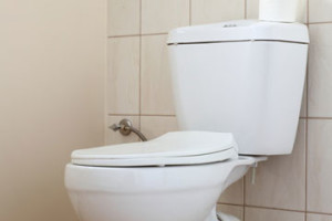 Toilet-Repair-Macomb-Michigan